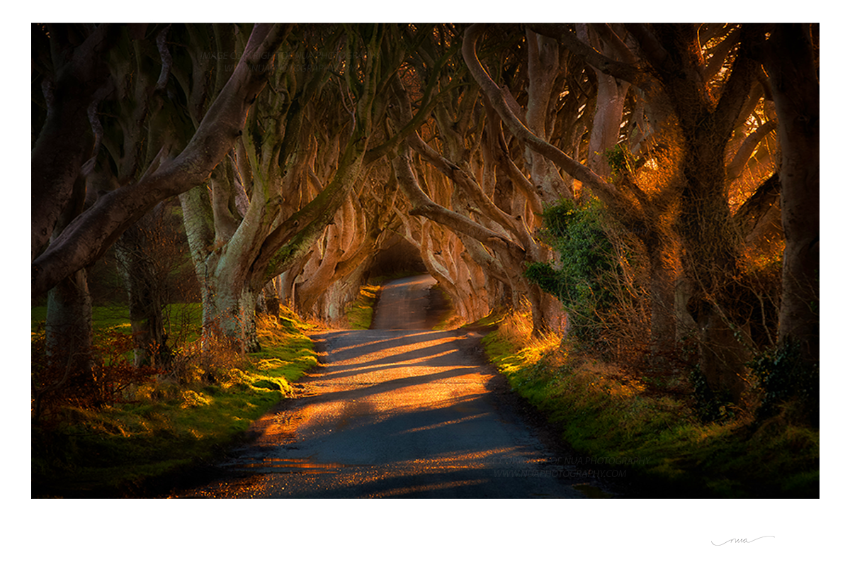Antrim Photography Prints | Nua Photography Ireland