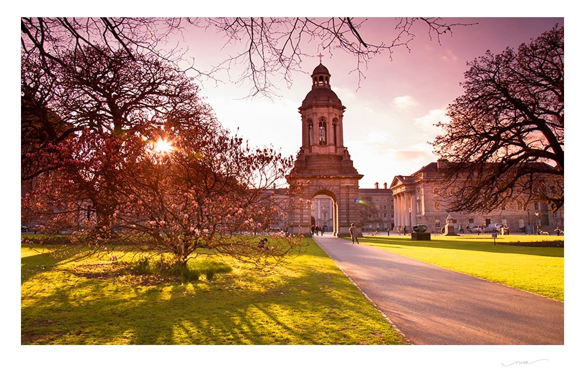 Dublin City Photography Prints | Nua Photography