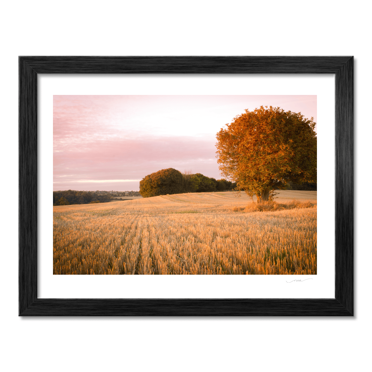 Nua Photography Print After Harvest Summer's Evening, Balbriggan Co. Dublin After Harvest Summer Evening Balbriggan | Nua Photography