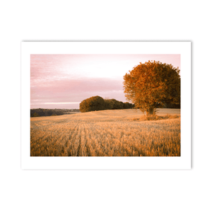 Nua Photography Print After Harvest Summer's Evening, Balbriggan Co. Dublin After Harvest Summer Evening Balbriggan | Nua Photography