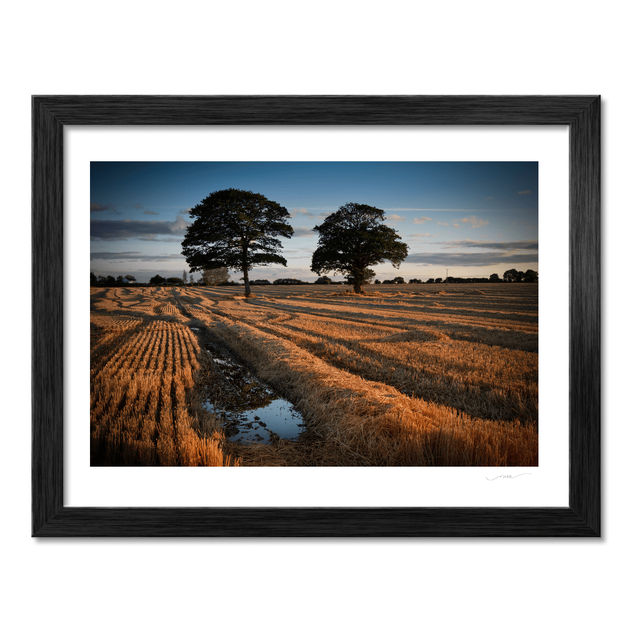 Nua Photography Print After The Harvest Golden Stubble Field at Sunset, Balbriggan Co. Dublin After The Harvest Balbriggan Field Print | Nua Photography