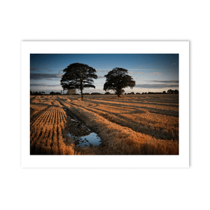 Nua Photography Print After The Harvest Golden Stubble Field at Sunset, Balbriggan Co. Dublin After The Harvest Balbriggan Field Print | Nua Photography