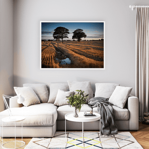 Nua Photography Print After The Harvest Golden Stubble Field at Sunset, Balbriggan Co. Dublin After The Harvest Balbriggan Field Print | Nua Photography