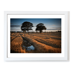 Nua Photography Print After The Harvest Golden Stubble Field at Sunset, Balbriggan Co. Dublin After The Harvest Balbriggan Field Print | Nua Photography