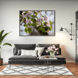 apple-blossom-spring-armagh-orchard BFW