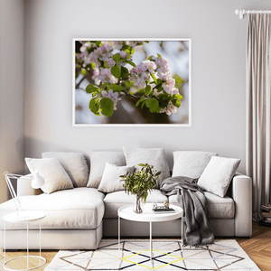 apple-blossom-spring-armagh-orchard WFW