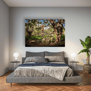 Armagh Apple Orchard with Vintage Farm Wheel in Spring Blossom, Co. Armagh fine art photography print by Nua Photography