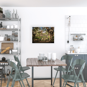 Armagh Apple Orchard with Vintage Farm Wheel in Spring Blossom, Co. Armagh fine art photography print by Nua Photography