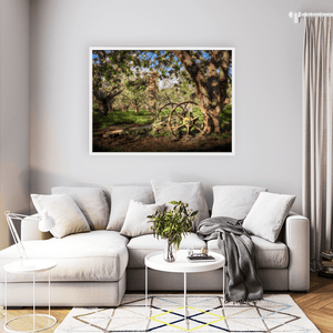 Armagh Apple Orchard with Vintage Farm Wheel in Spring Blossom, Co. Armagh fine art photography print by Nua Photography