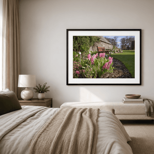 Nua Photography Print Ardgillan Castle Walled Garden Spring Hyacinths, Balbriggan Co. Dublin Ardgillan Walled Garden Spring Flowers | Nua Photography