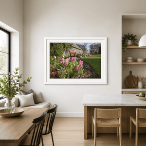 Nua Photography Print Ardgillan Castle Walled Garden Spring Hyacinths, Balbriggan Co. Dublin Ardgillan Walled Garden Spring Flowers | Nua Photography