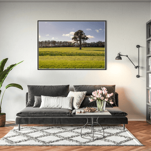 Nua Photography Print Ardgillan Castle Parkland Daffodils in Spring, Balbriggan Co. Dublin Ardgillan Daffodils Spring Print | Nua Photography