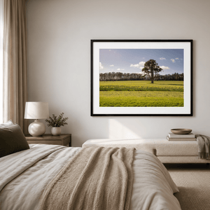Nua Photography Print Ardgillan Castle Parkland Daffodils in Spring, Balbriggan Co. Dublin Ardgillan Daffodils Spring Print | Nua Photography