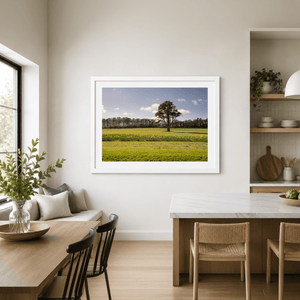 Nua Photography Print Ardgillan Castle Parkland Daffodils in Spring, Balbriggan Co. Dublin Ardgillan Daffodils Spring Print | Nua Photography