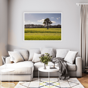Nua Photography Print Ardgillan Castle Parkland Daffodils in Spring, Balbriggan Co. Dublin Ardgillan Daffodils Spring Print | Nua Photography
