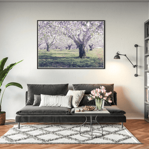 armagh-apple-orchard-spring-blossom BFW
