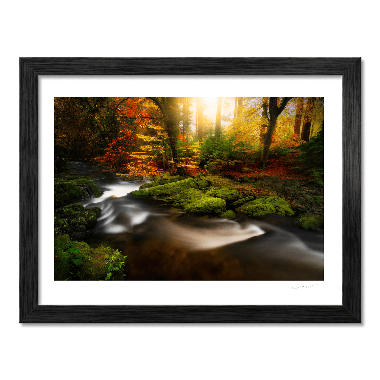 autumn-forest-stream-golden-sunlight PM