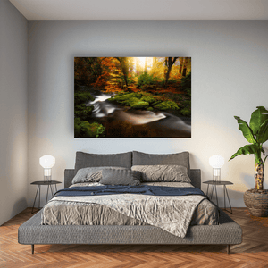 Antrim Forest Stream in Autumn Golden Light, North of Ireland fine art photography print by Nua Photography