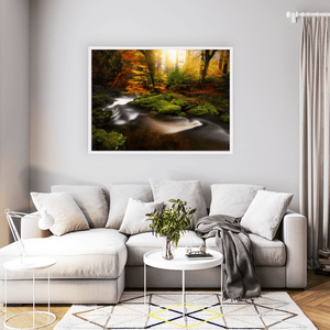 Antrim Forest Stream in Autumn Golden Light, North of Ireland fine art photography print by Nua Photography