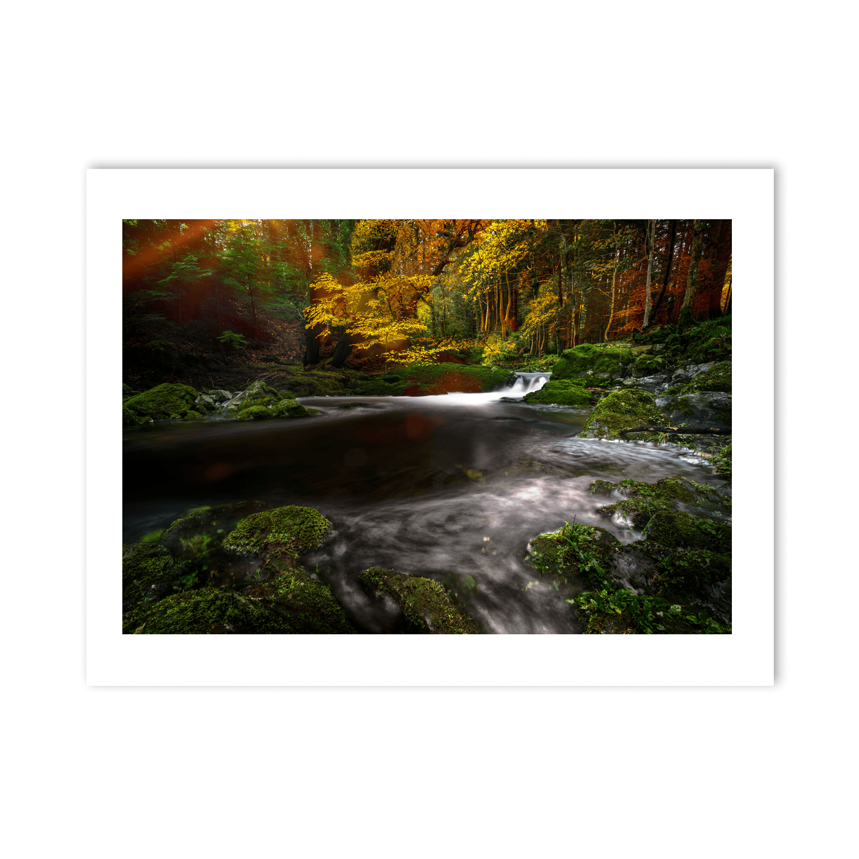autumn-forest-stream-long-exposure PM