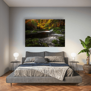 Autumn Forest Stream Long Exposure, Co. Antrim fine art photography print by Nua Photography