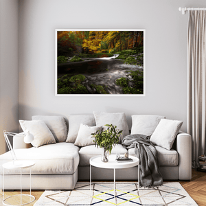 Autumn Forest Stream Long Exposure, Co. Antrim fine art photography print by Nua Photography