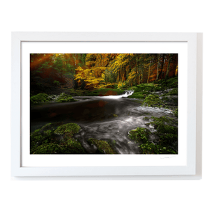 Autumn Forest Stream Long Exposure, Co. Antrim fine art photography print by Nua Photography