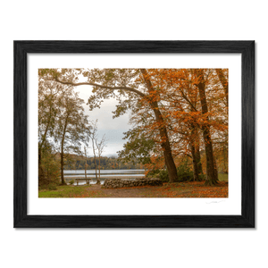 autumn-lakeside-bench-fallen-leaves BF