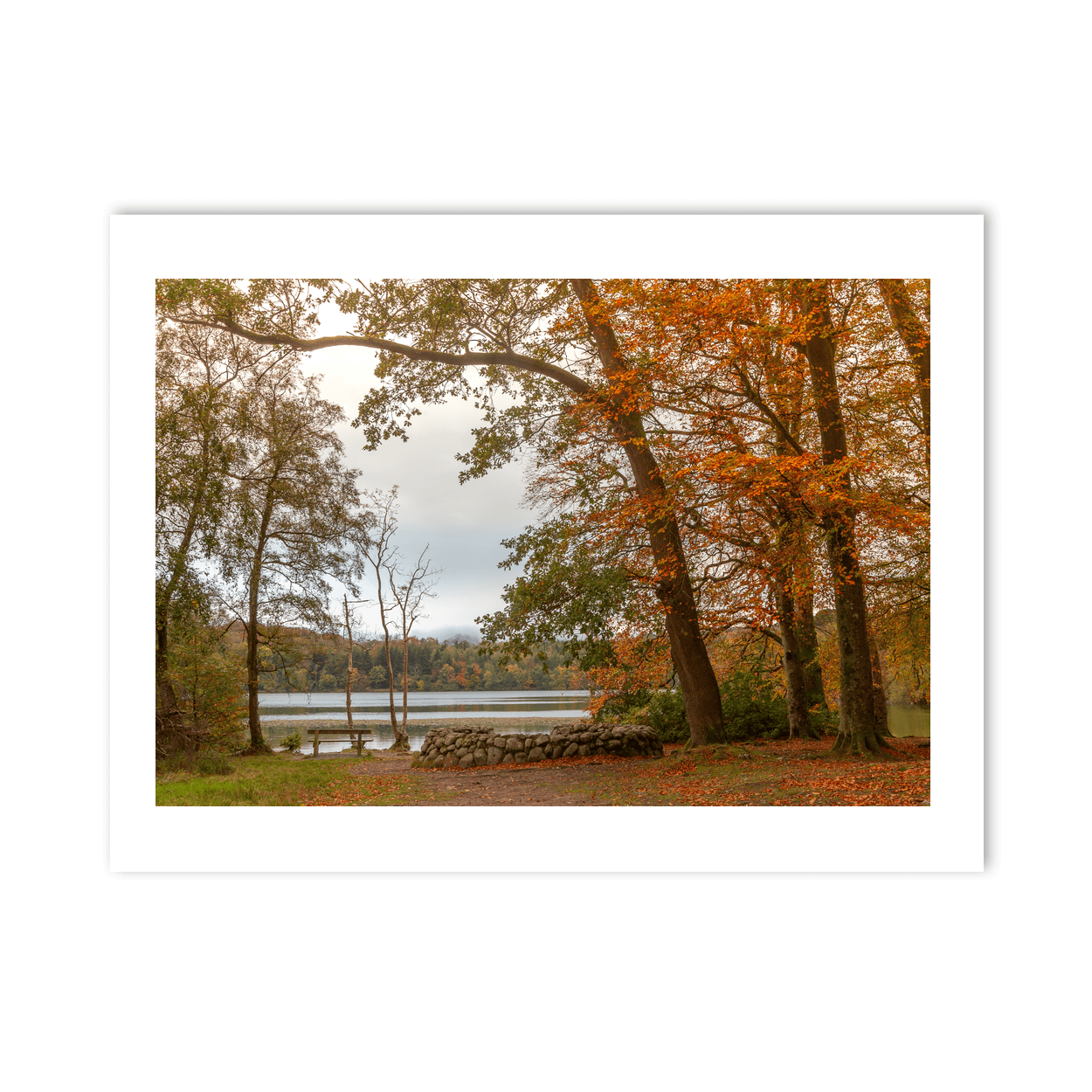 autumn-lakeside-bench-fallen-leaves PM