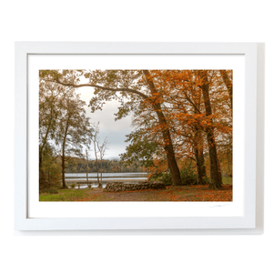 autumn-lakeside-bench-fallen-leaves WF
