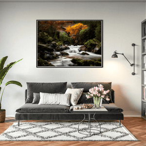 autumn-stream-mossy-rocks-flowing-water BFW