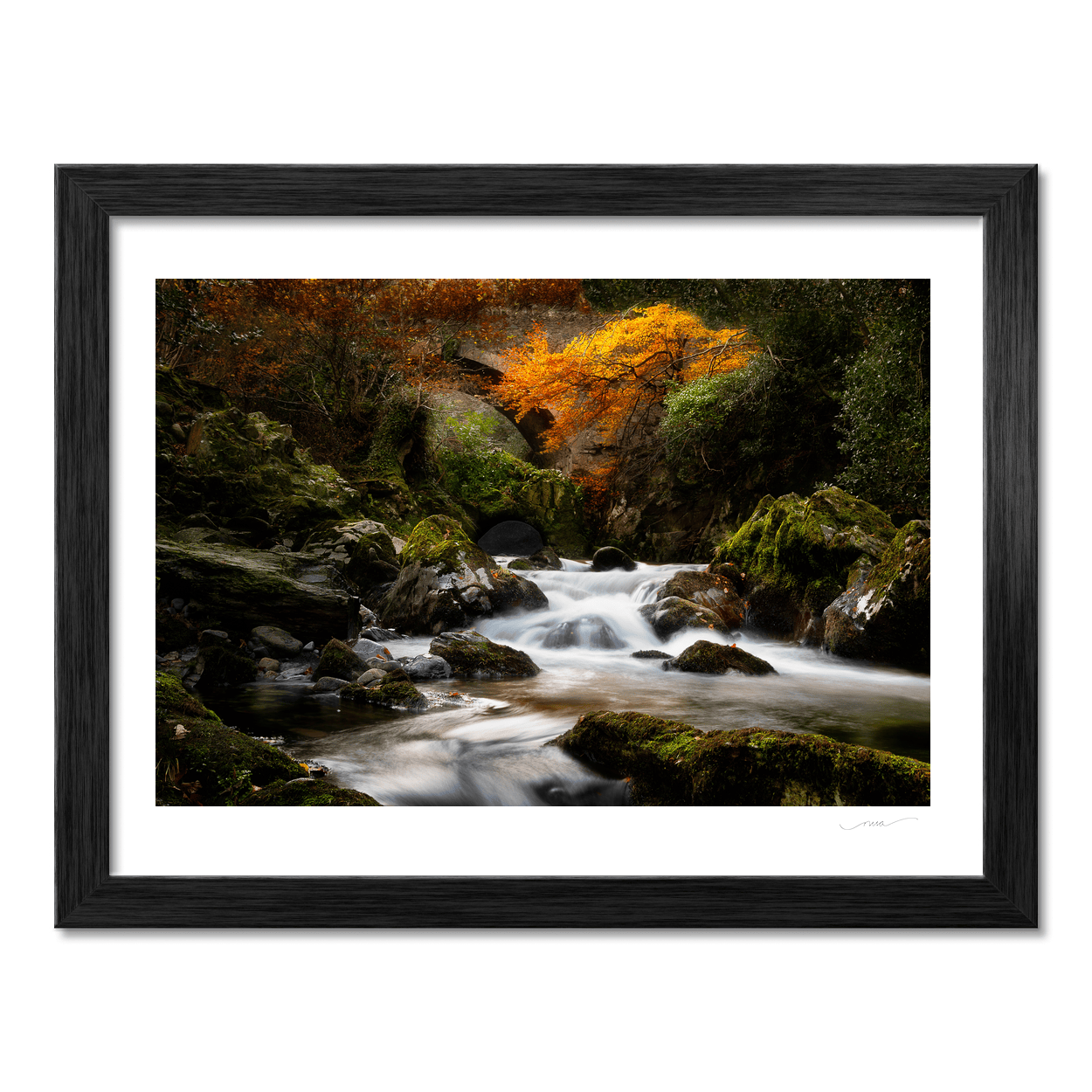 autumn-stream-mossy-rocks-flowing-water PM