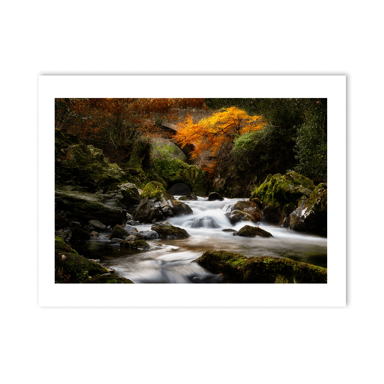 autumn-stream-mossy-rocks-flowing-water PM