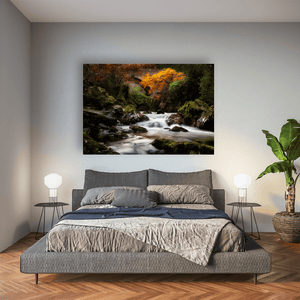 autumn-stream-mossy-rocks-flowing-water Pano