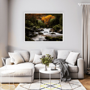 autumn-stream-mossy-rocks-flowing-water WFW