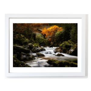 autumn-stream-mossy-rocks-flowing-water WF