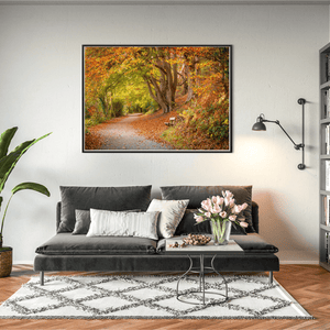 Autumn Woodland Path with Golden Leaves, Co. Down fine art photography print by Nua Photography