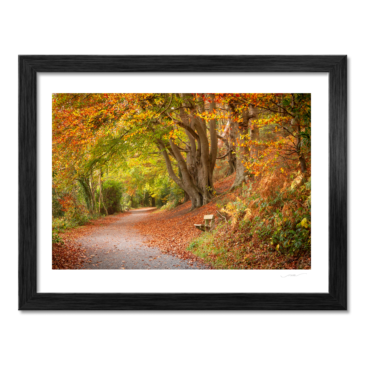 autumn-woodland-path-golden-leaves-2 PM