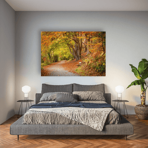 Autumn Woodland Path with Golden Leaves, Co. Down fine art photography print by Nua Photography