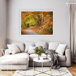 Autumn Woodland Path with Golden Leaves, Co. Down fine art photography print by Nua Photography