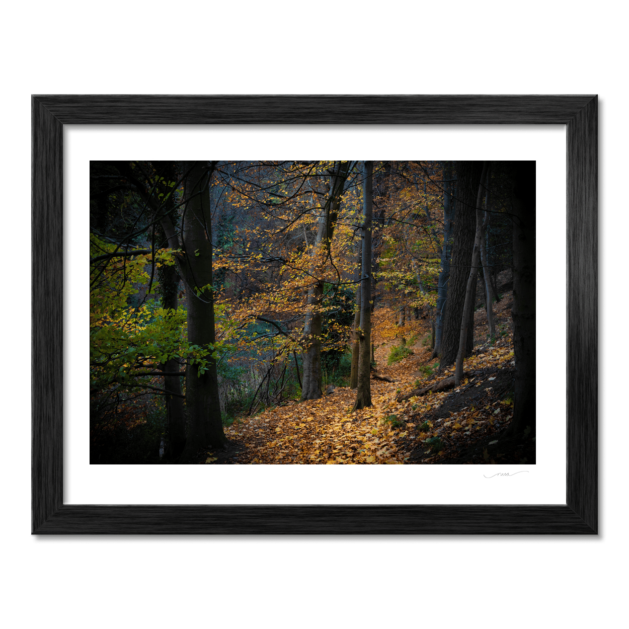 autumn-woodland-path-golden-leaves-3 PM