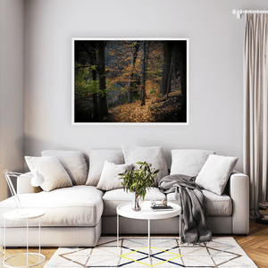 autumn-woodland-path-golden-leaves-3 WFW