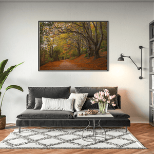 autumn-woodland-path-golden-leaves BFW