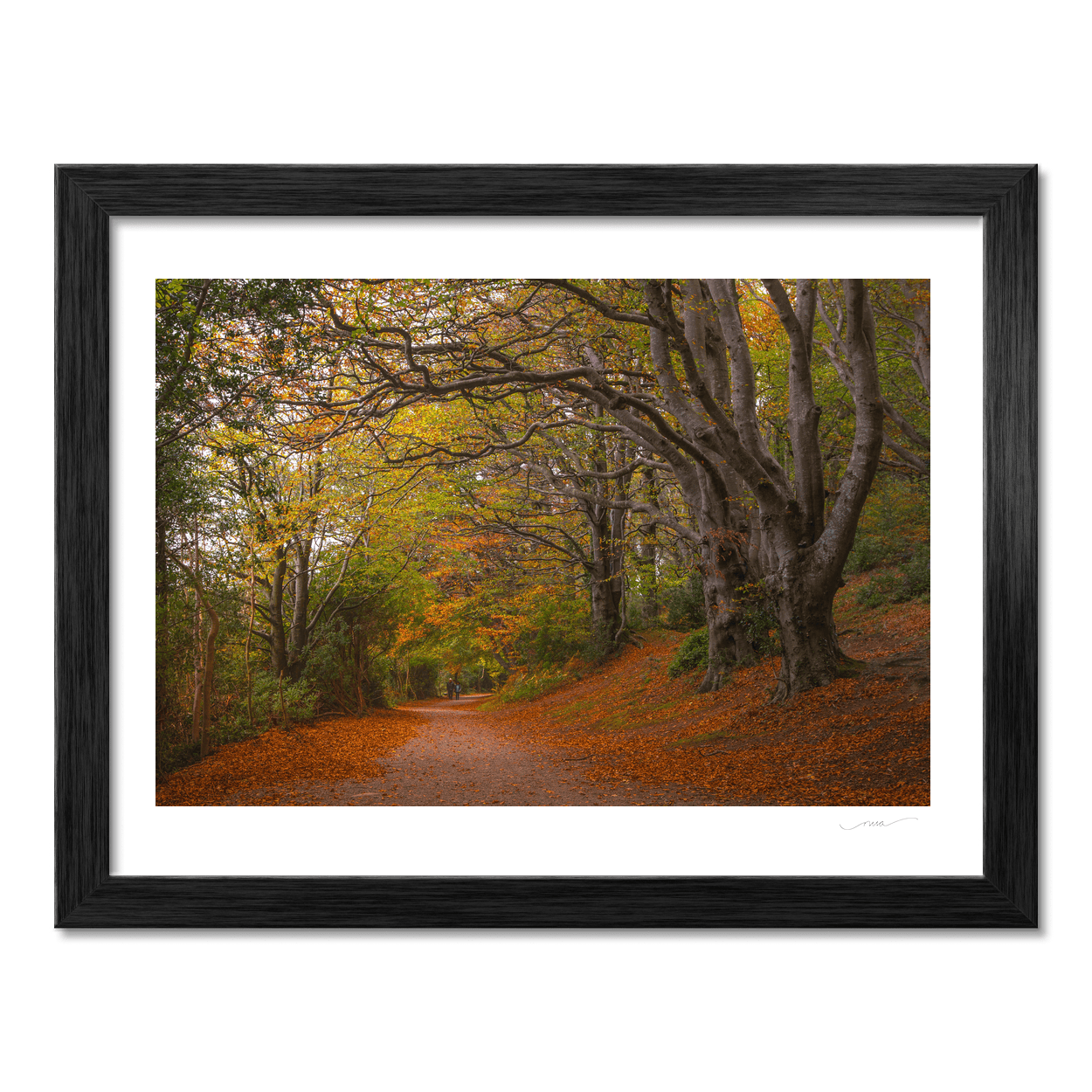 autumn-woodland-path-golden-leaves PM