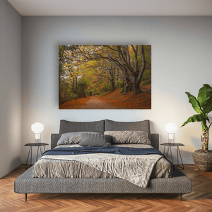 autumn-woodland-path-golden-leaves Pano