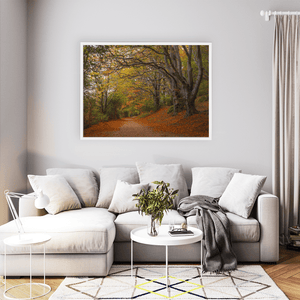 autumn-woodland-path-golden-leaves WFW