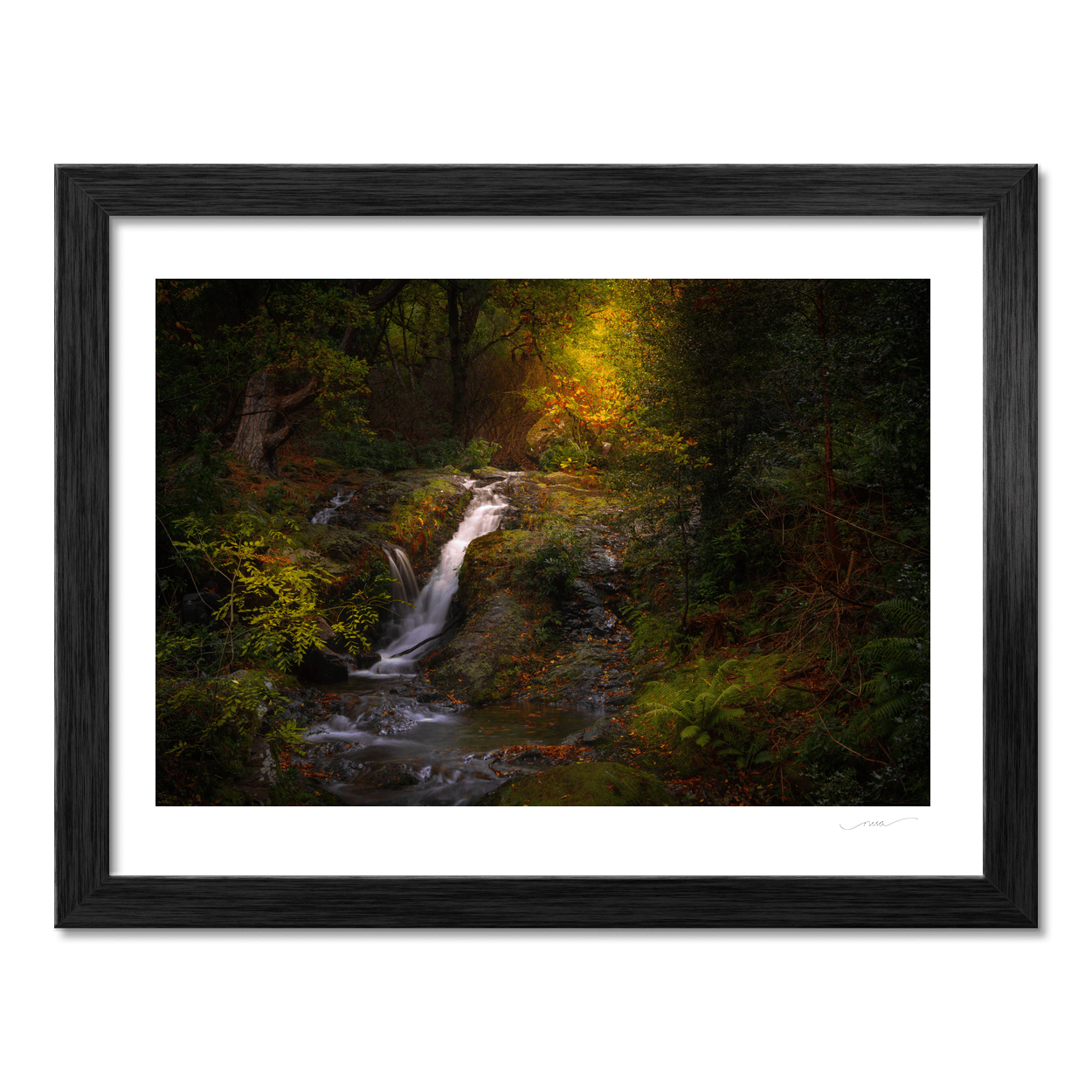 autumn-woodland-waterfall-golden-light PM