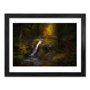 Woodland Waterfall in Autumn Light, Co. Down fine art photography print by Nua Photography