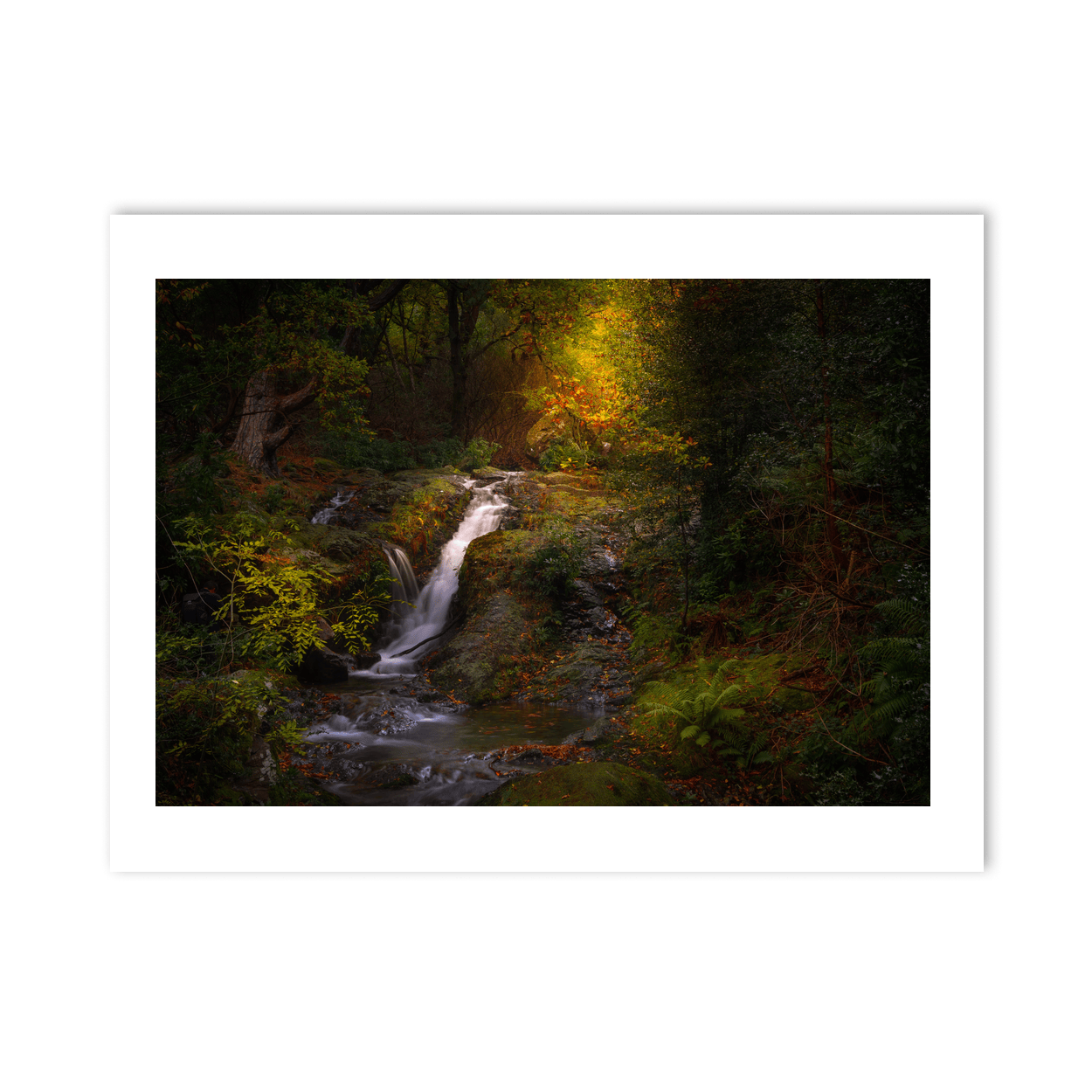 autumn-woodland-waterfall-golden-light PM