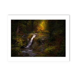 Woodland Waterfall in Autumn Light, Co. Down fine art photography print by Nua Photography